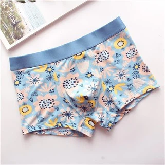 100 bombažnega spodnjega perila za dekleta